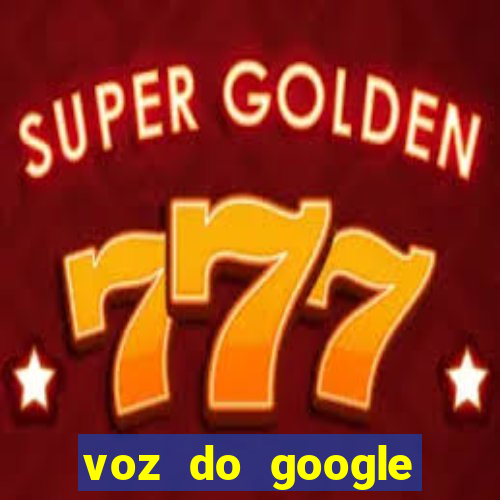 voz do google tradutor homem